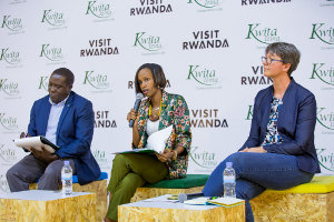 Rwanda highlights mountain gorilla conservation gains