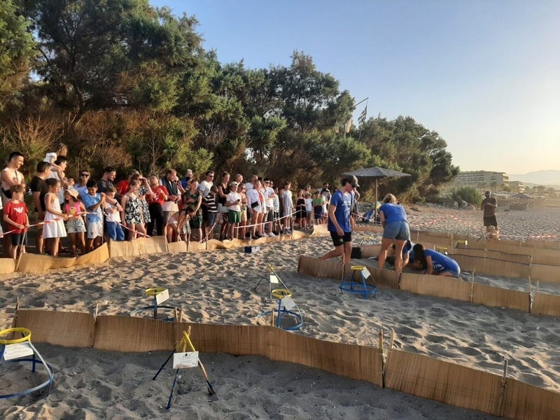 Archelon volunteers protecting sea turtle nests in Crete