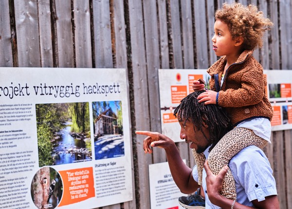 Many of Järvsö's visitors are families
