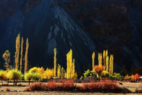 Autumn Colors of Northern Pakistan