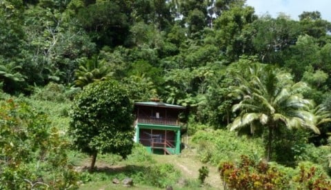 Ocean_View_Cottage_-_3_Rivers___Rosalie_Forest___Dominica_s_Original__Eco_Lodge-3-870x500
