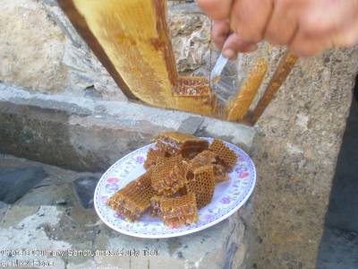 Study Abroad in Greece: The Mediterranean Diet and Lifestyle, May 2013