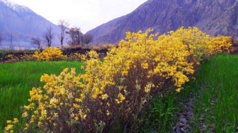 Trekking from Chitral Town to Drosh, KPK, Pakistan | by Batuta Travels | Mar, 2021 | Medium