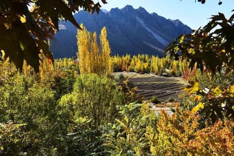 Autumn Colors of Northern Pakistan | by Batuta Travels | Nov, 2021 | Medium