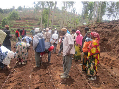 October 2015: "A project is started for organic corn growing, called Push&Pull which produces more crops without use of chemicals. Moreover, it serves as a way to avoid erosion".