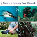 Healthy Seas