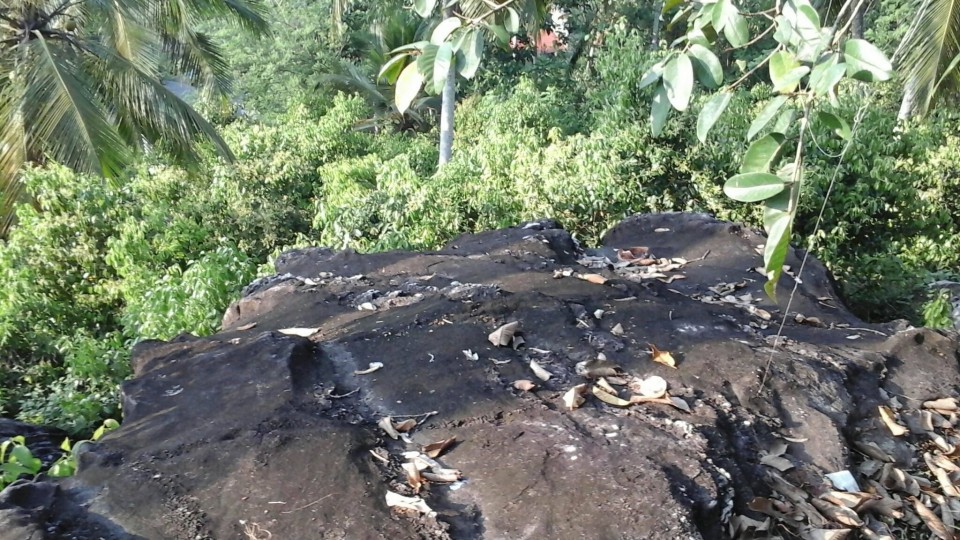 Elevated land with Cinnamon and Coconut cultivation in Ampegama (close to Hikkaduwa tourist city) available for JV project or quick sale. Very ideal for eco friendly hoel/villas. Clear deed. For more details, please contact. Gunarathna +94776525003 WhatsApp, imo and Viber available. pg_gunarathna@yahoo.com