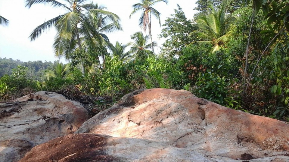 Elevated land with Cinnamon and Coconut cultivation in Ampegama (close to Hikkaduwa tourist city) available for JV project or quick sale. Very ideal for eco friendly hoel/villas. Clear deed. For more details, please contact. Gunarathna +94776525003 WhatsApp, imo and Viber available. pg_gunarathna@yahoo.com
