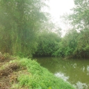 Riverfront land in Pitigala