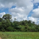 Stream Photos