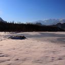 IMG_9494