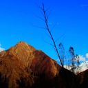 IMG_6451-1