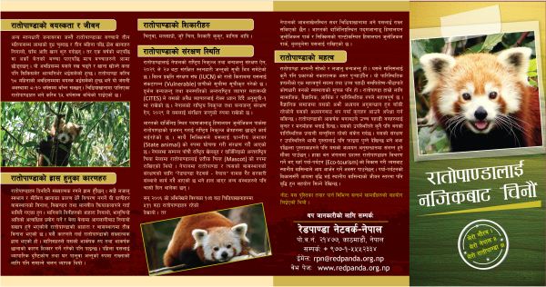 brochure1_s
