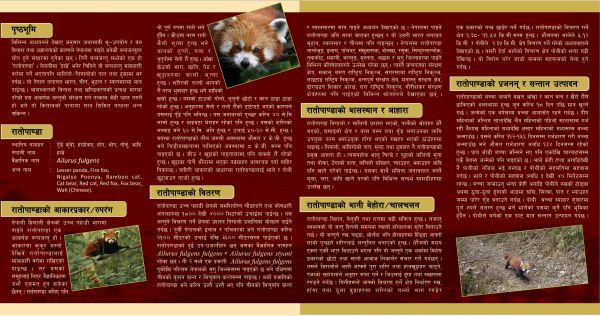 brochure2_s