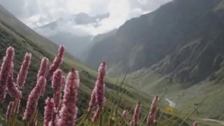 Voices and Choices- Great Himalayan National Park