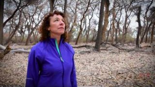 EcoTripMatch CEO Profile
