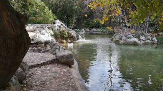Waterfall, National Garden, Athens, Greece