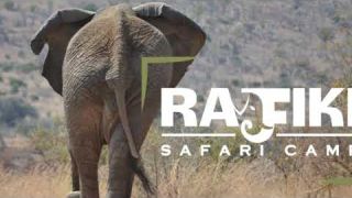 Welcome to Rafiki Safari Camp