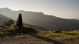 NOMADS