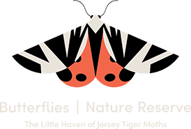 Butterflies Nature Reserve Paros