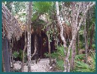 Cabanas Copal
