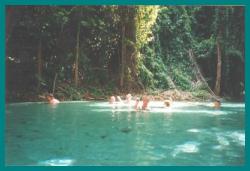 Hot Springs at Yankari