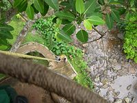 Don't look down