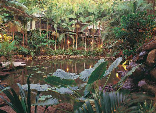 Daintree
