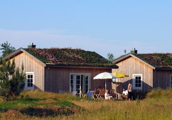Green roofs, no paint